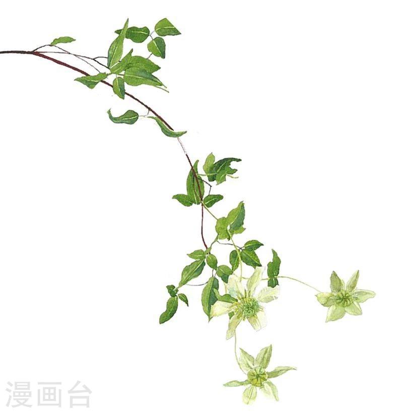 寵上雲霄 - 第6話 辜負我們的感情 - 1
