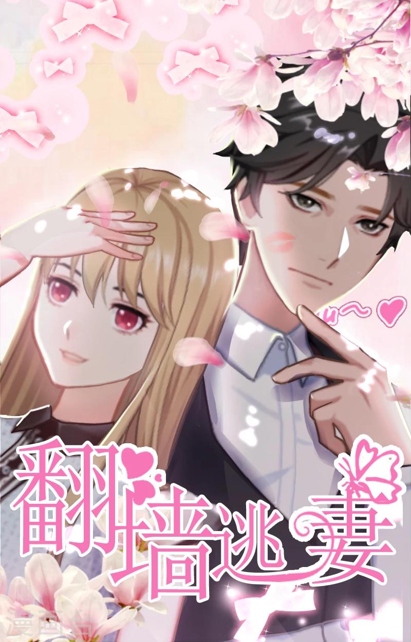 翻牆逃妻 - 第26話 準備大禮 - 1