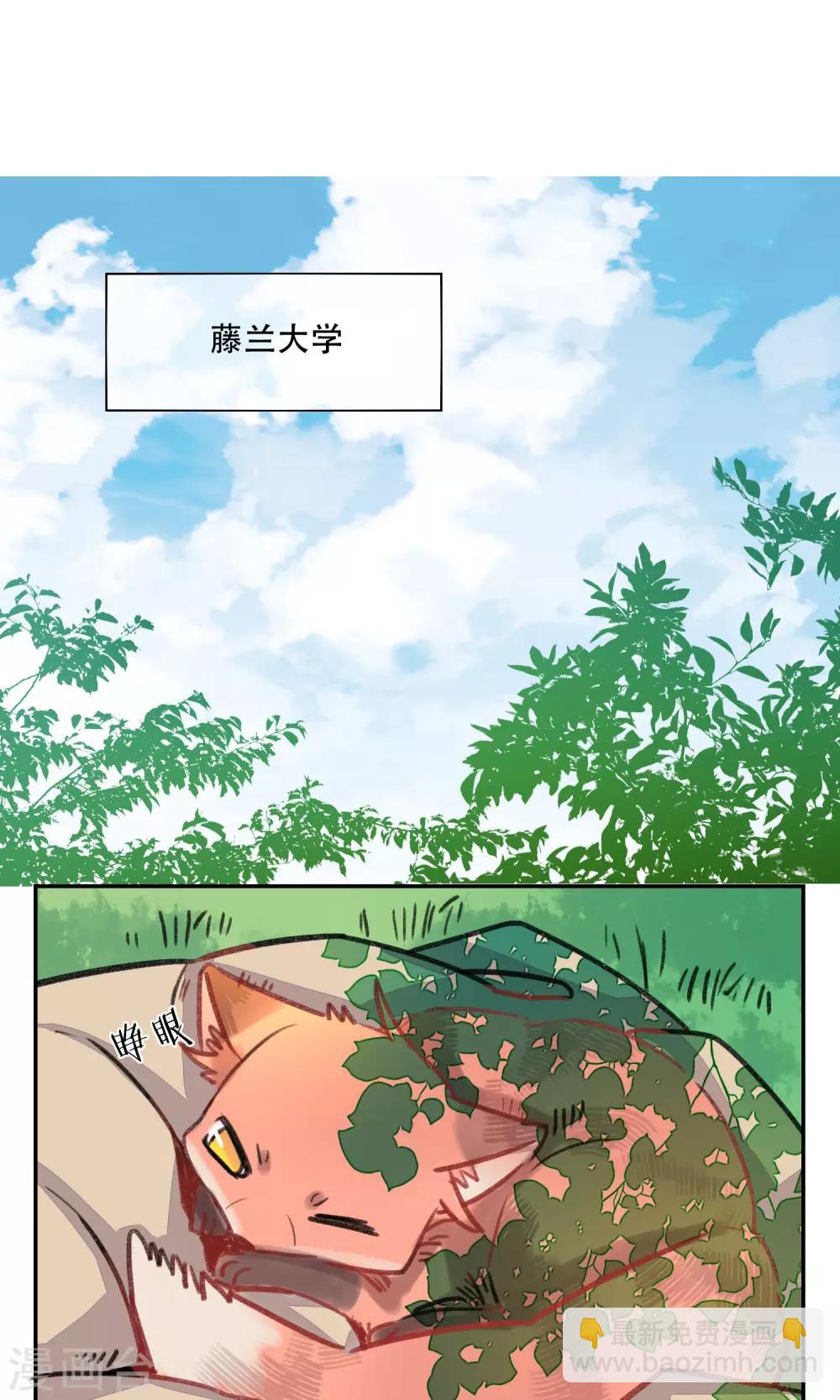 狐說 - 第3話 奇怪的人類 - 2