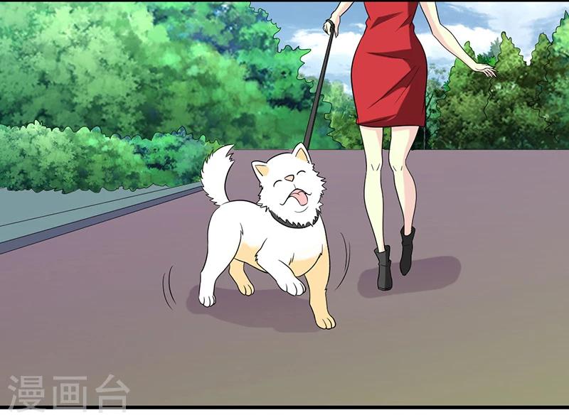 就想要個女朋友 - 第229話 扛雷 - 1