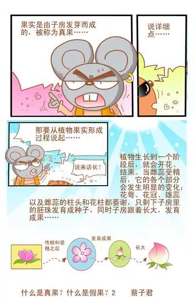 貓和老鼠科普漫畫 - 第14話 - 1