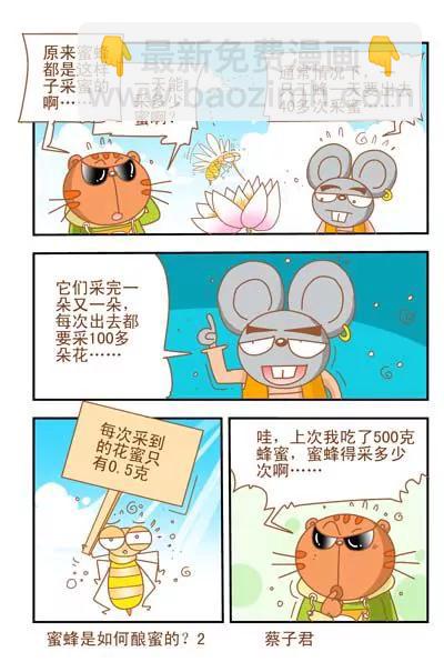 貓和老鼠科普漫畫 - 第36話 - 1