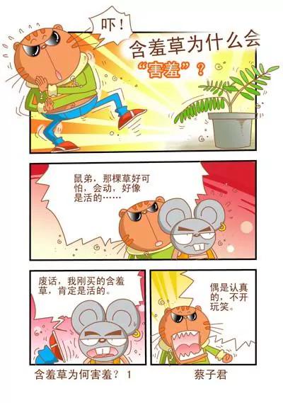 貓和老鼠科普漫畫 - 第4話 - 1