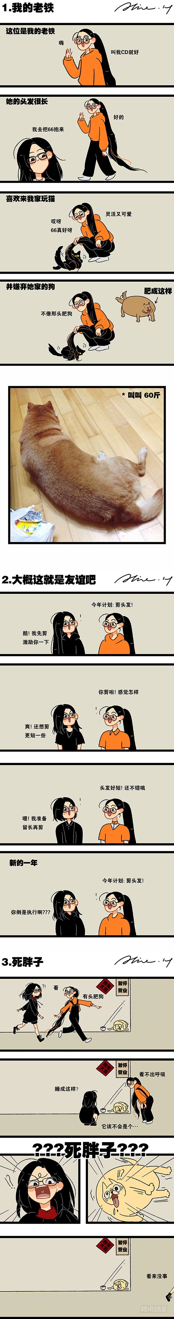 66在嗎 - 有朋自擼貓來：66在嗎？ - 1
