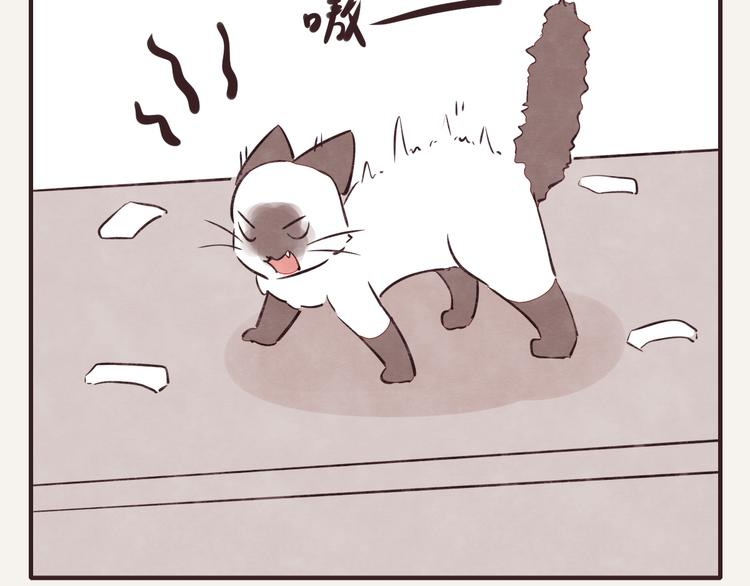 805 - 第0147話  “純爺們” - 2