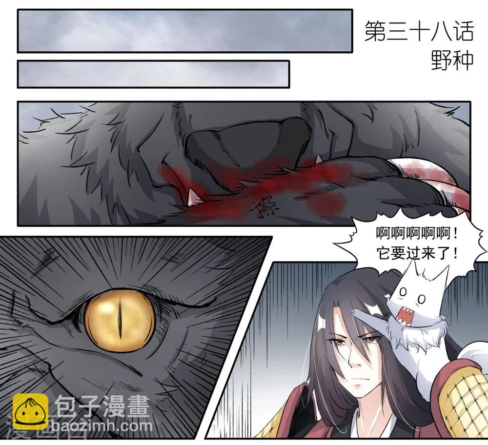 寵狐成妃 - 第38話 野種 - 2