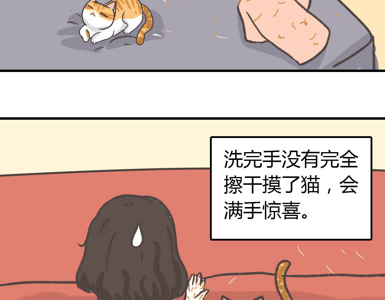 寵物公寓 - 貓霸在線教徒 - 3