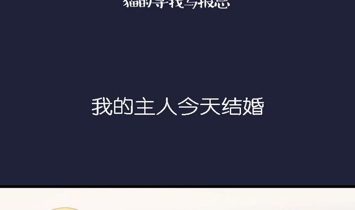 惡魔之子 - 第46話 貓的尋找與報恩 - 2