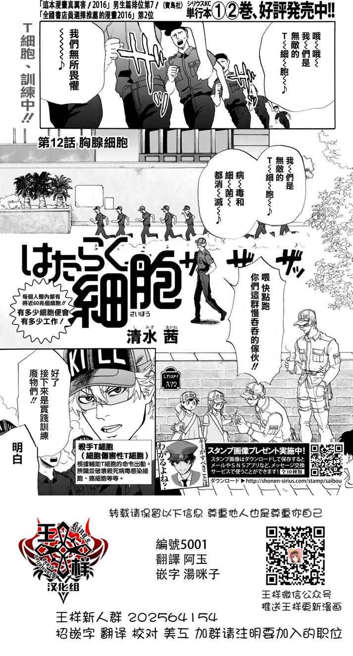 工作細胞 - 第12話 胸腺細胞 - 1
