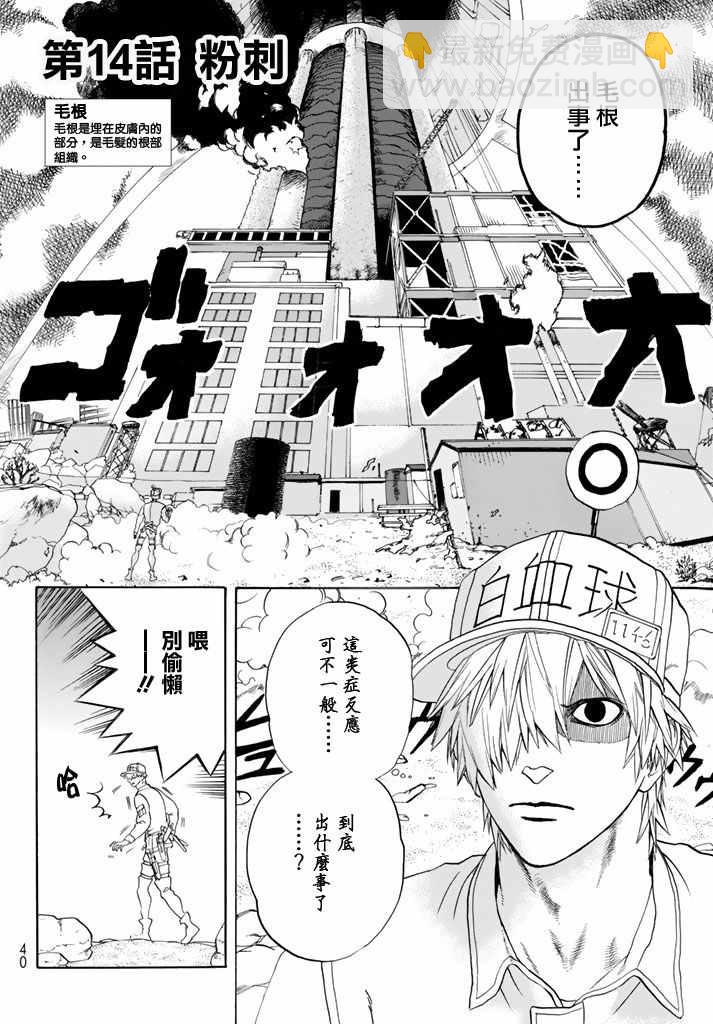 工作細胞 - 第14話 粉刺 - 2