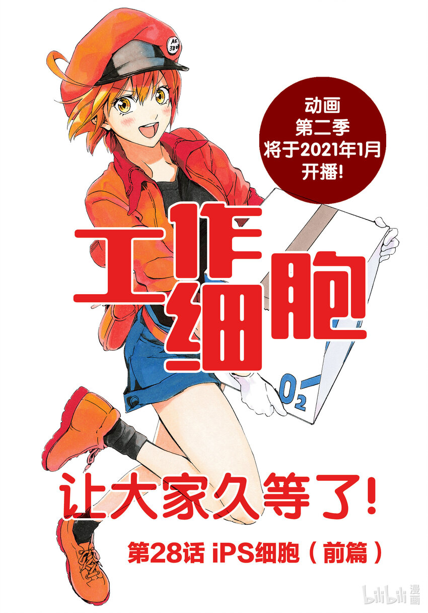 工作細胞 - 28 iPS細胞（前篇） - 1