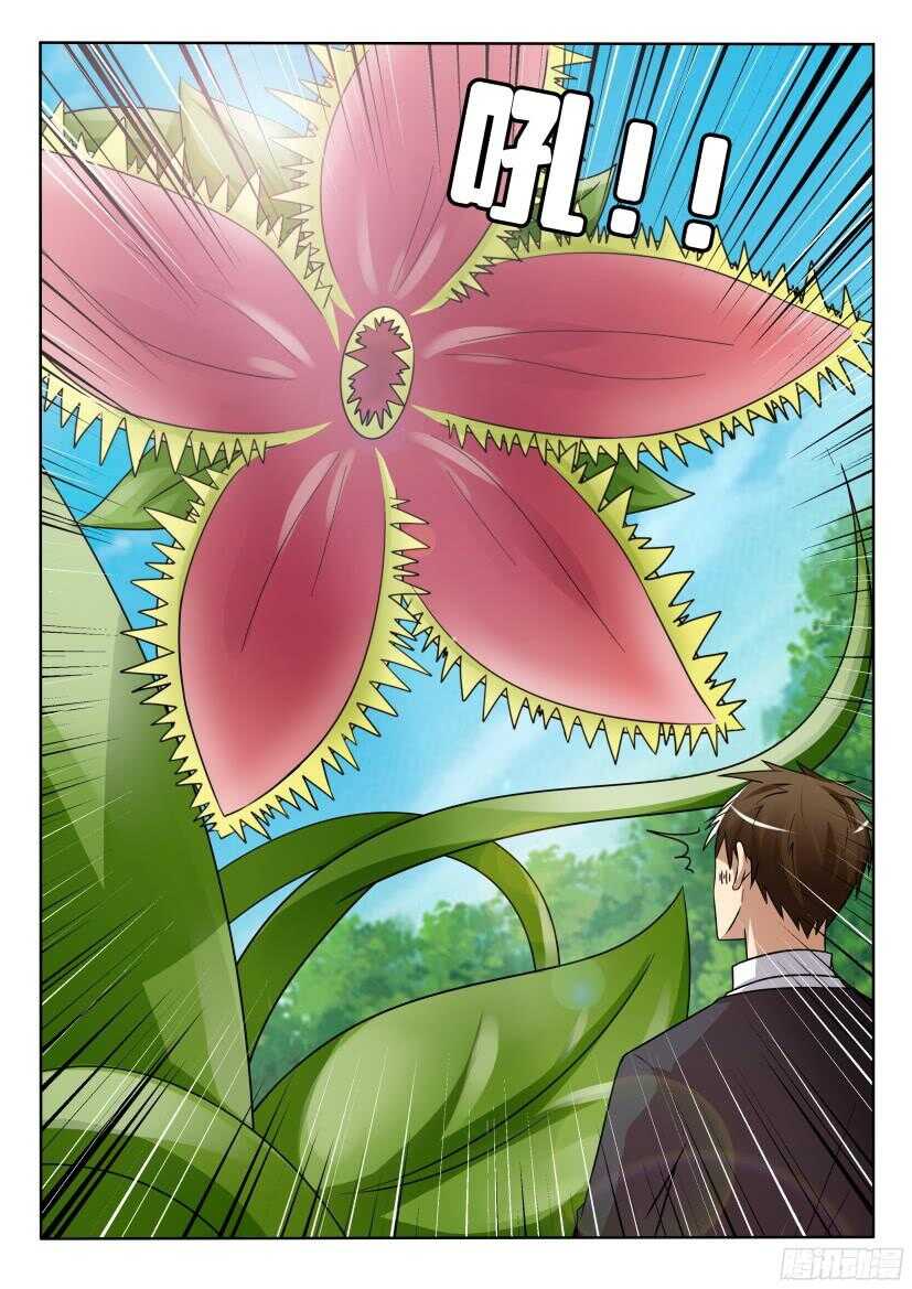 花悸 - 第506回 珍珠吊蘭的蔓延 - 2