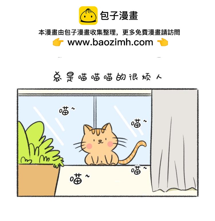 歡喜肥樂事 - 歡喜肥的日常（九） - 2
