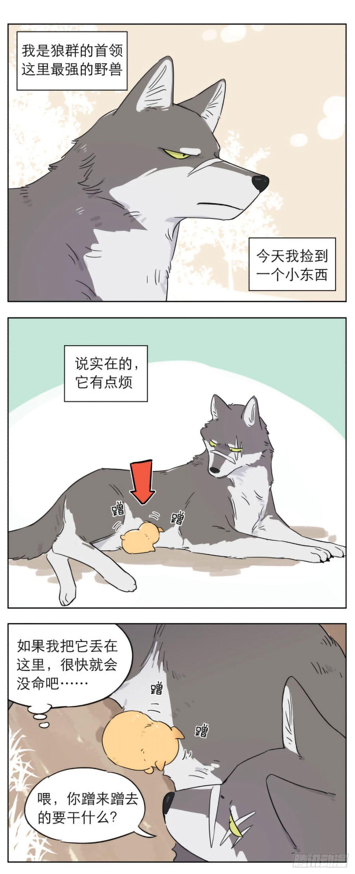 撿了東西的狼 - 撿到的奶狗有點煩 - 1