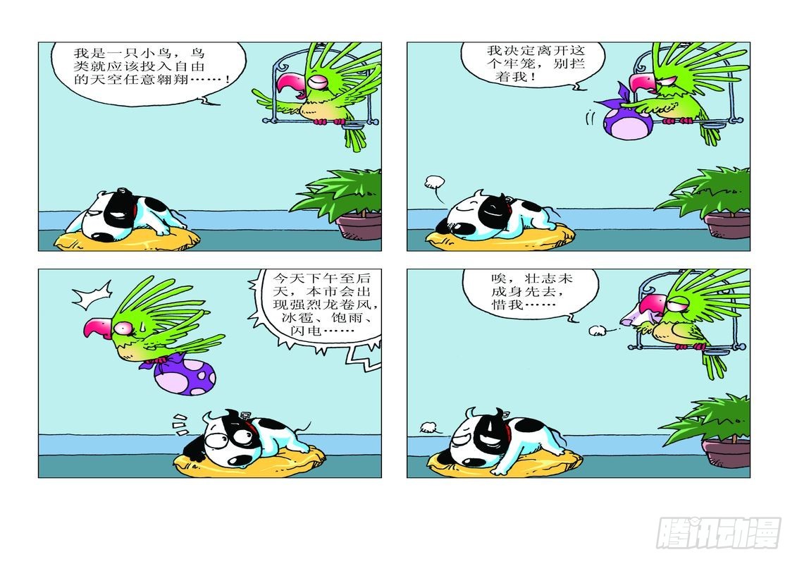 家有寵物 - 17 - 1