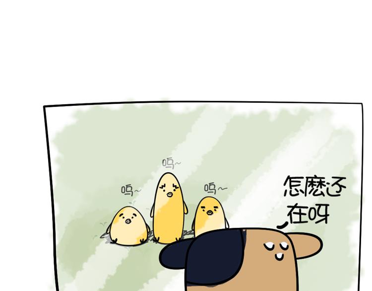 姐姐這個暴君 - 賴皮小雞的出場 3 - 4