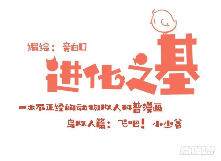 進化之基 - 飛吧小少爺：現實問題 - 1