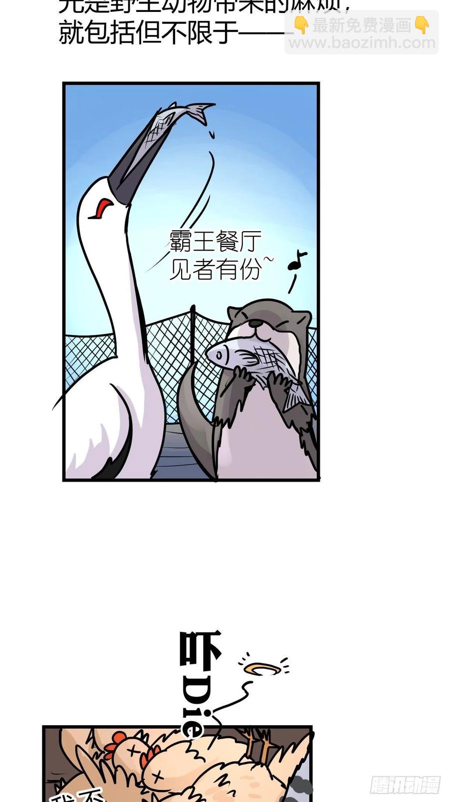 進化之基 - 四海篇22：進獄系國寶？04(1/2) - 2