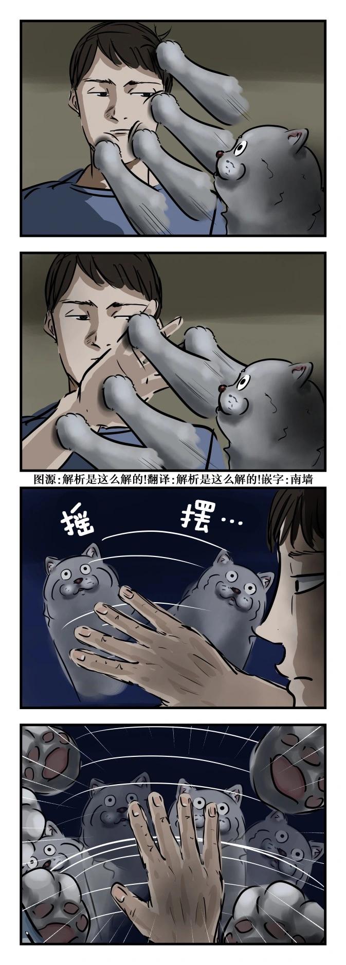 カコミスル老師四格合集 - 左右搖擺的貓 - 1