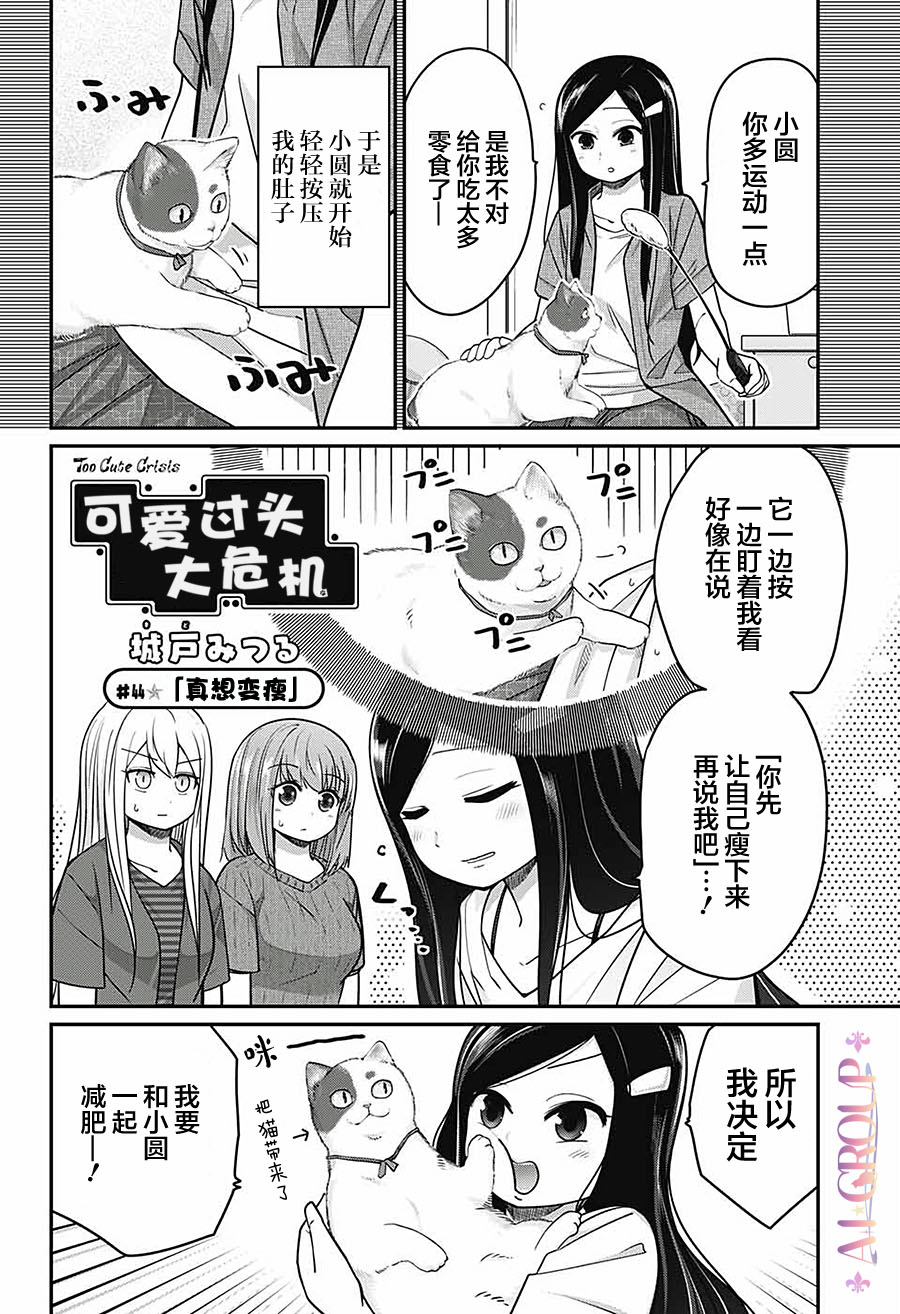 可愛過頭大危機 - 第44話 - 2