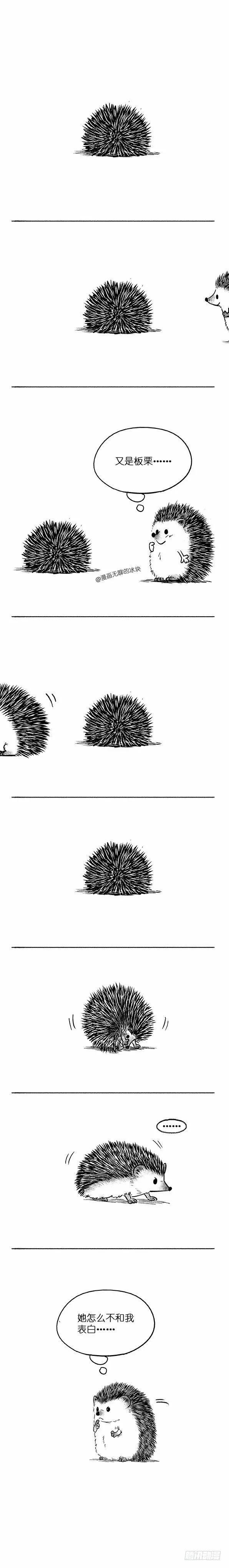 快把動物放進冰箱 - 022《板栗少年把妹大作戰》預熱 - 1