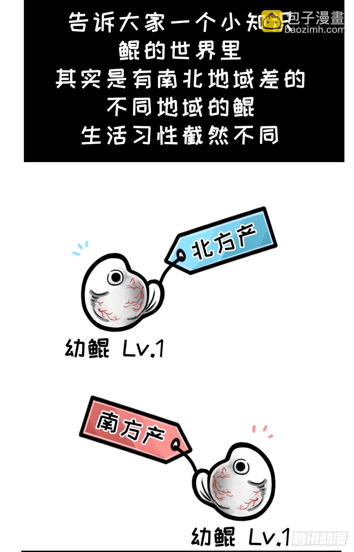鯤鯤的爆笑生活 - 鯤鯤地理課之南北差異多 - 2