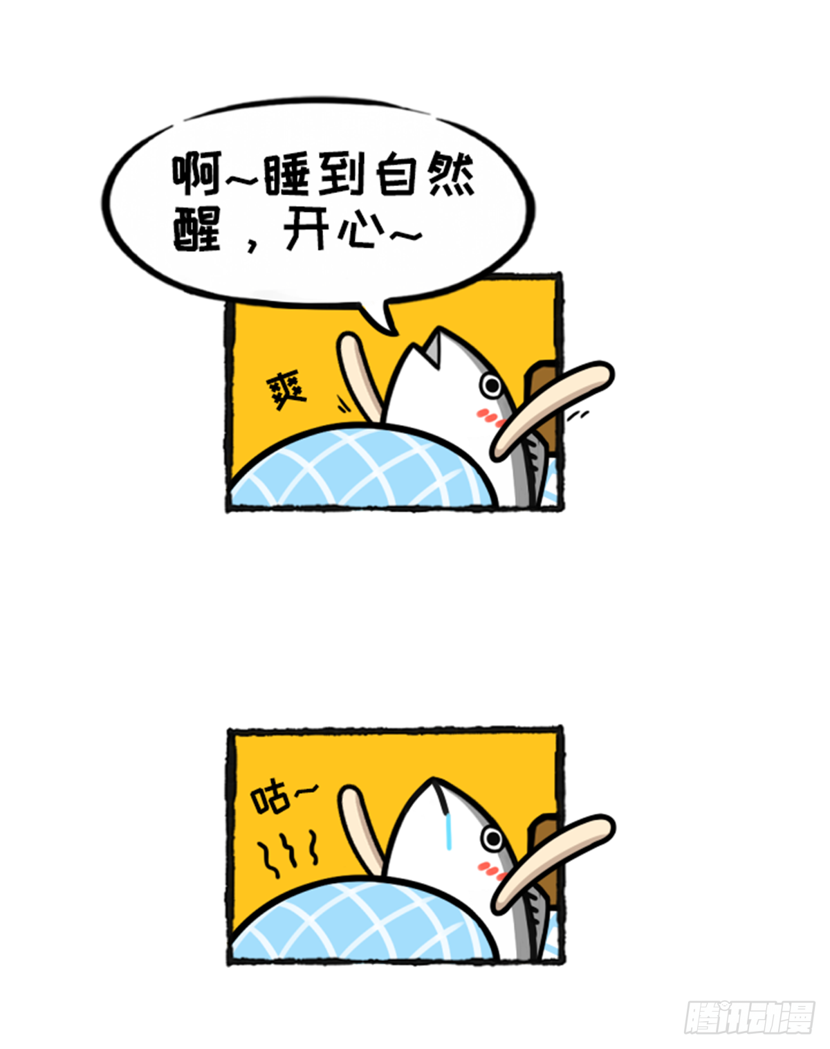 鯤鯤的爆笑生活 - 沒有鴿哦 - 2