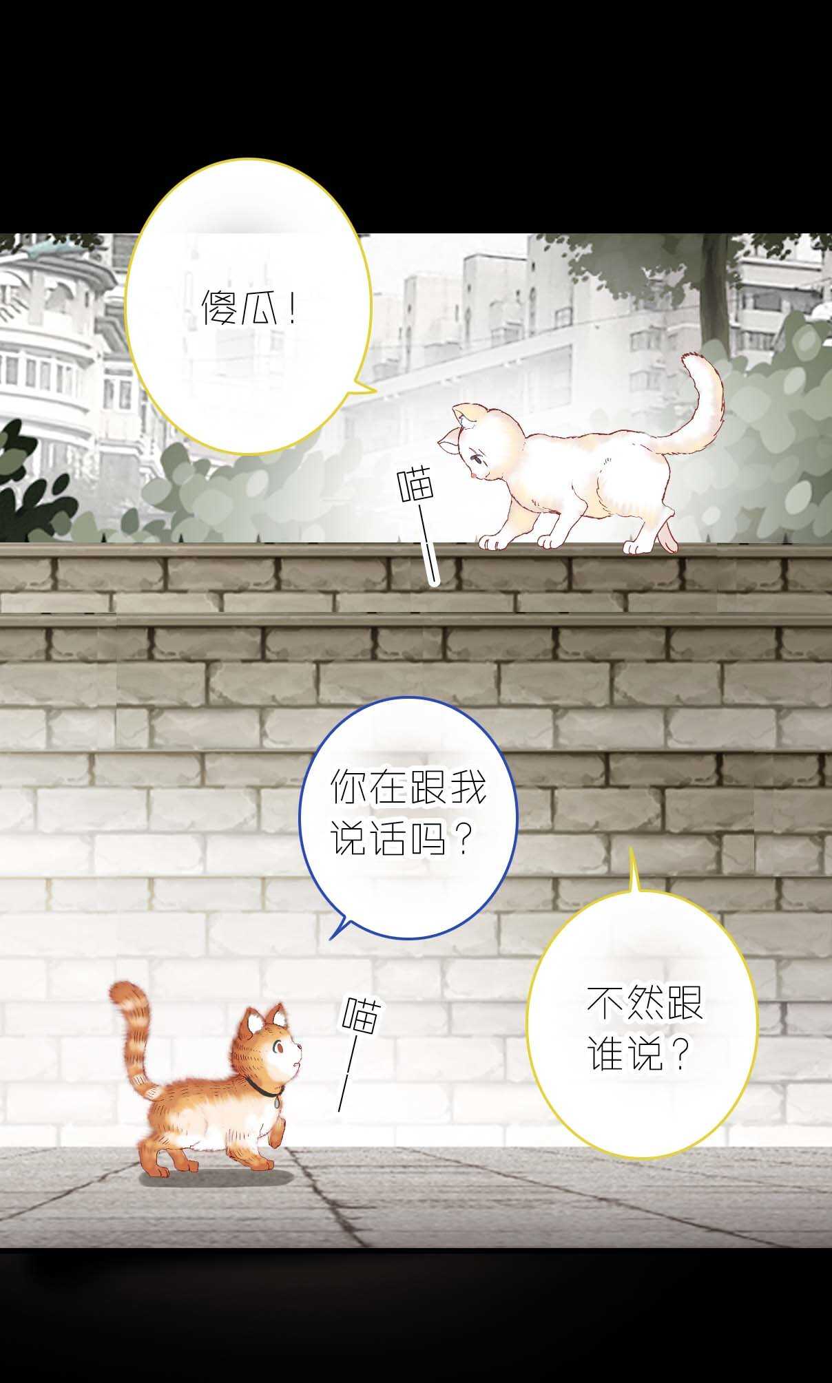 拎貓入住 - 第14話 - 2