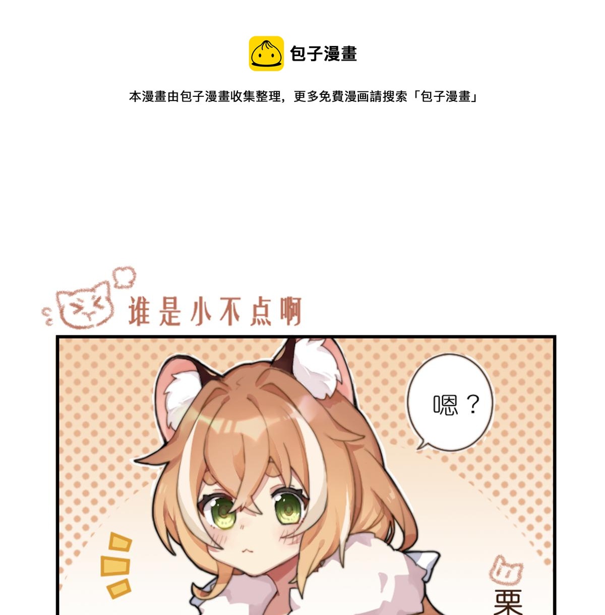 貓靈相冊 - 誰是小不點啊 - 1