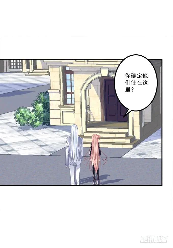 貓妖的誘惑 - 鳳凰冢二(1/2) - 2