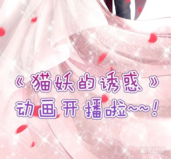 貓妖的誘惑 - 鳳凰冢十二(1/2) - 3