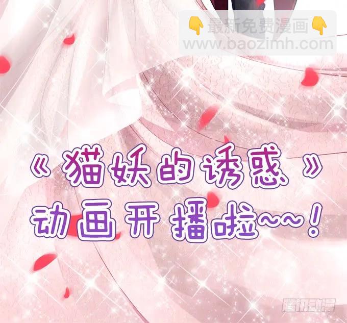 貓妖的誘惑 - 鳳凰冢十四(1/2) - 3