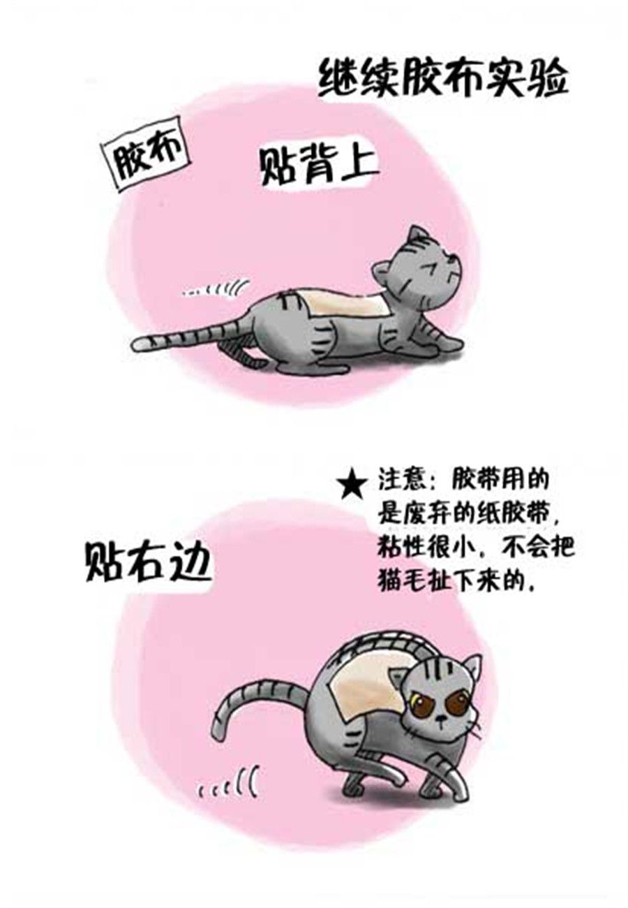 喵喵家族 - 喵喵家族 第20集 - 2