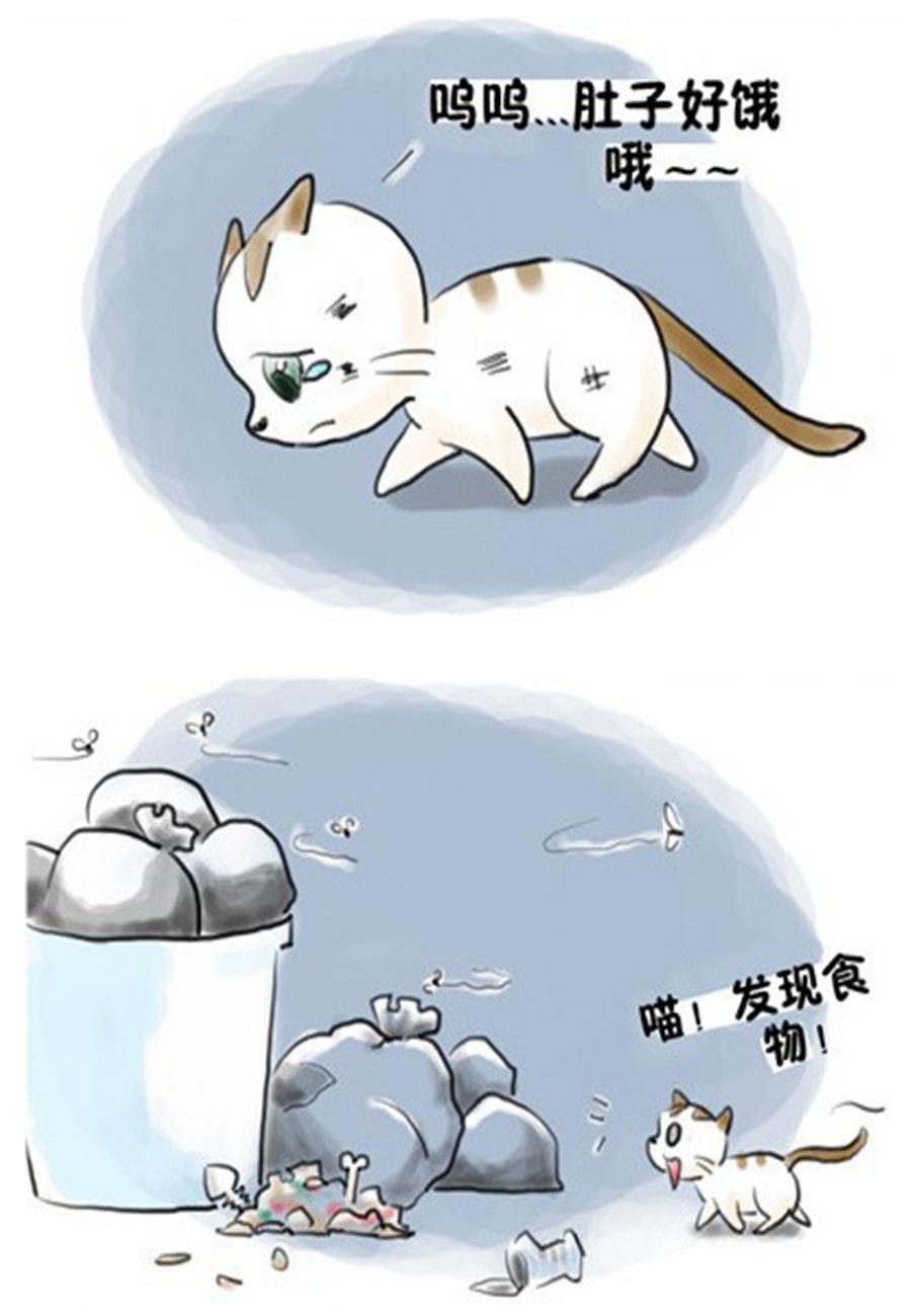 喵喵家族 - 喵喵家族 第8集 - 2