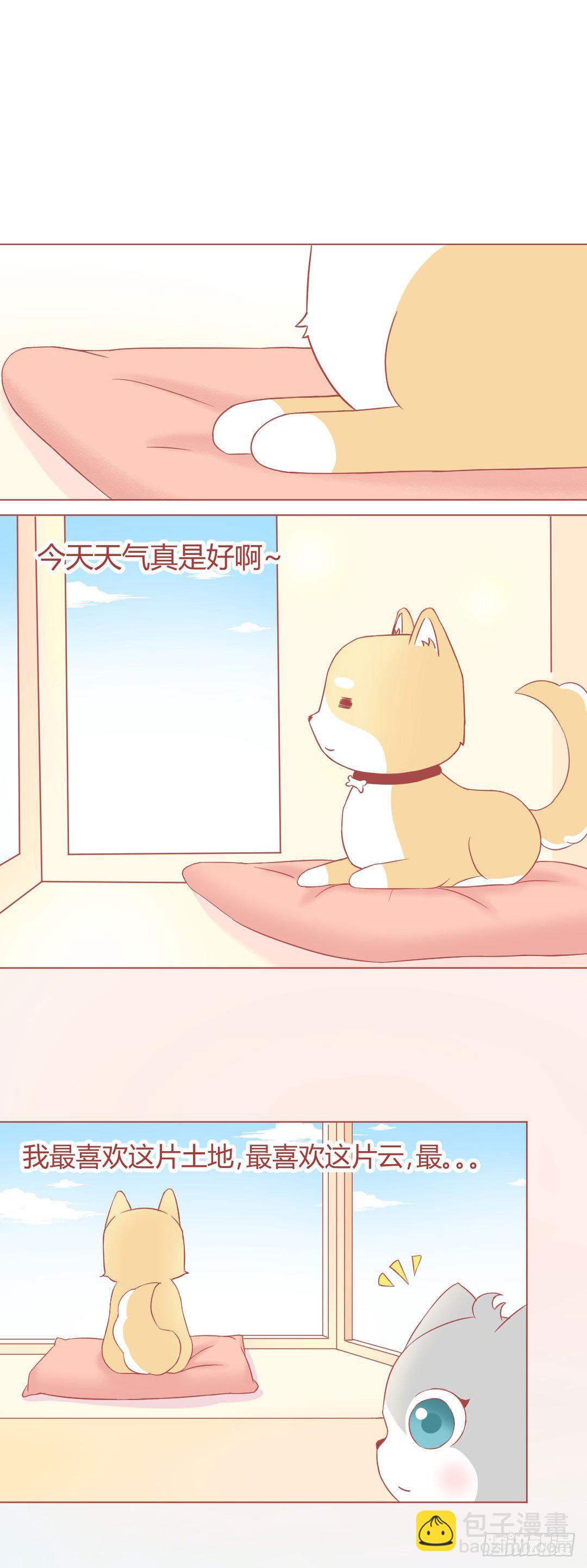 喵聲入夏 - 17.喵喵在鬧，汪星人在笑~ - 2