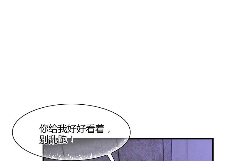名門獨愛暖妻 - 第61話 蕭月逃跑(1/3) - 2
