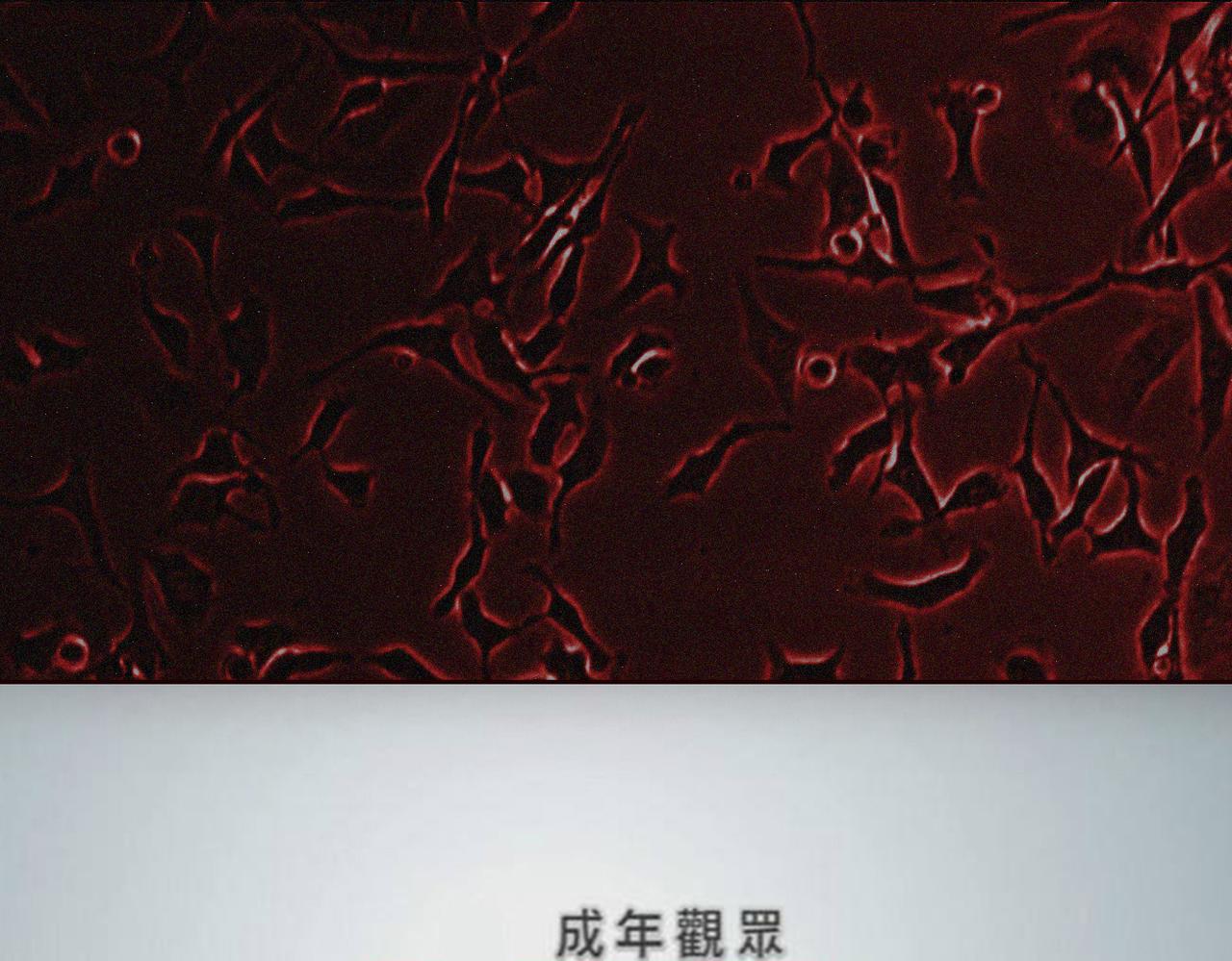 末日大事件DLC大流行 - 第六集 - 1
