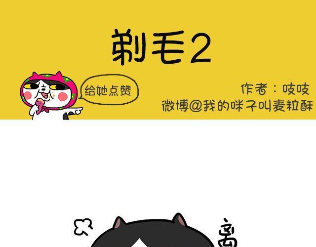 奶牛貓麥粒酥的日常 - 第2話 剃毛系列（二） - 1