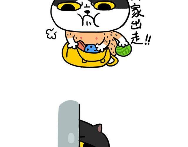 奶牛貓麥粒酥的日常 - 第2話 剃毛系列（二） - 2