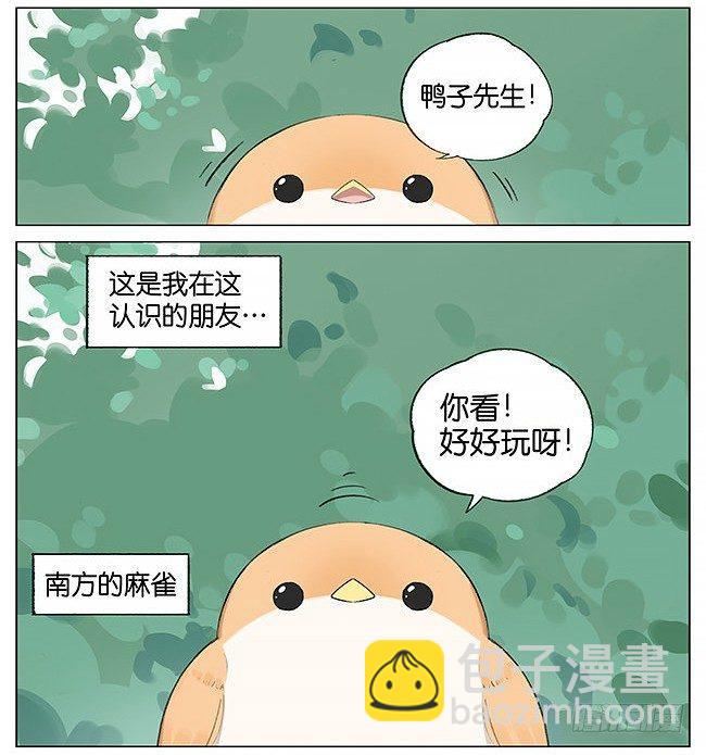 南方的鳥和北方的鳥 - 颳風。 - 2