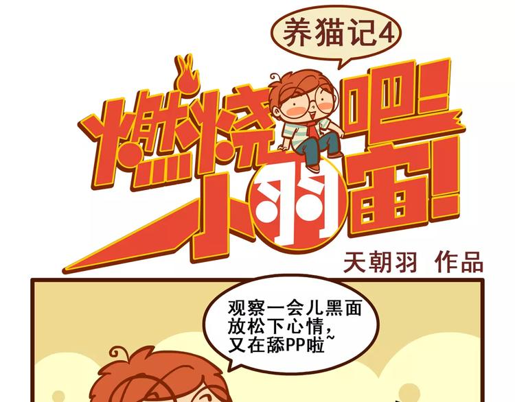 燃燒吧小羽宙 - 養貓記4 - 1
