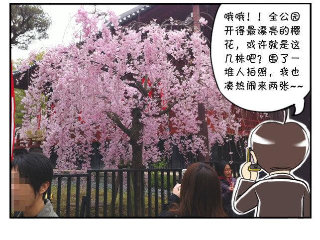 日在日本 - 170 上野花見會 - 3