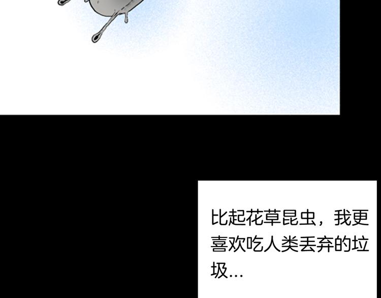 山林怪談 - 第90話 蛞蝓（上）(1/3) - 2