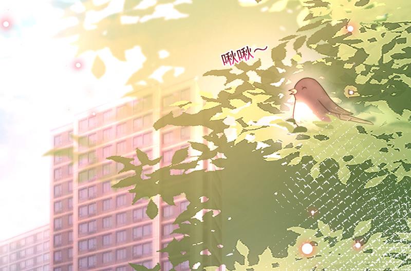 盛世甜愛：易少的小萌妻 - 第82話 情場失意(1/2) - 3