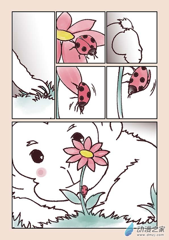 石猴 - 第一章 生之初（1） - 2