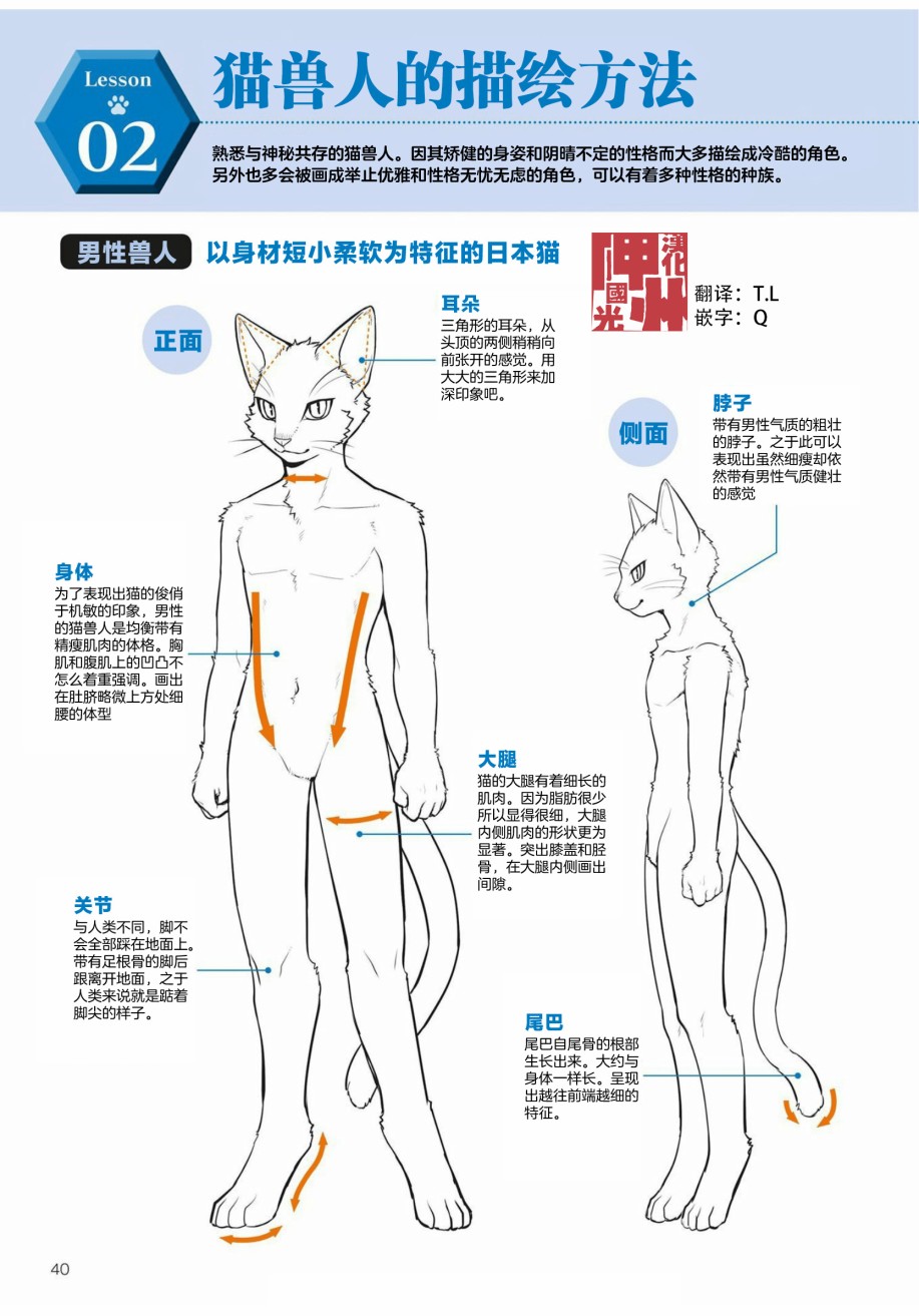 獸人的描繪方法 -從真實系獸人到抽象系獸人 - 第2.2話 陸上生物 貓獸人的描繪方法 - 1