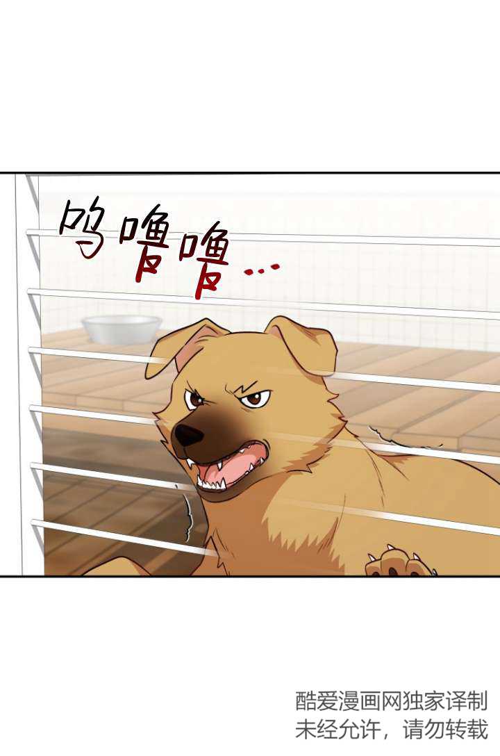 獸醫先生！你好？ - 第19話(1/2) - 1