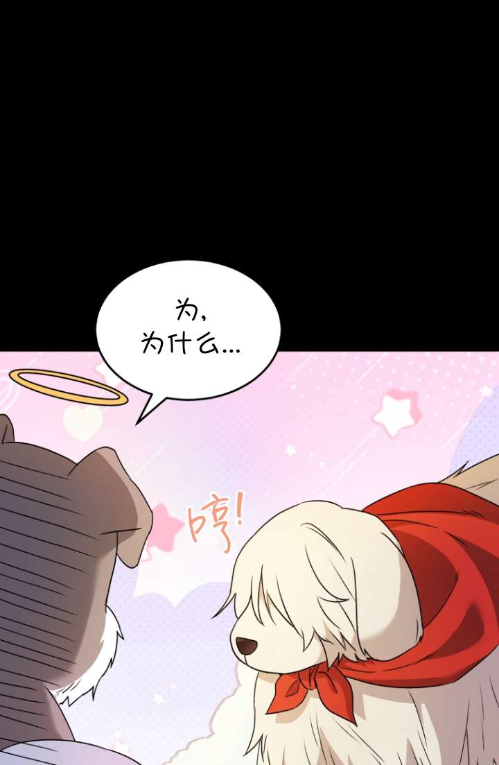 獸醫先生！你好？ - 第49話(1/2) - 1