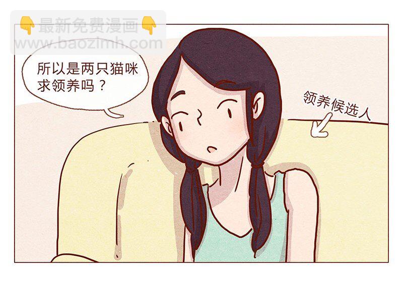 喂，看見耳朵啦 - 201話 領養比買難！ - 2