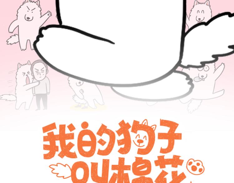 我的狗子叫棉花 - 第3話 熱烈迎你回家！(1/3) - 2